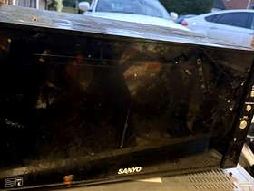 Freecycle Sanyo microwave