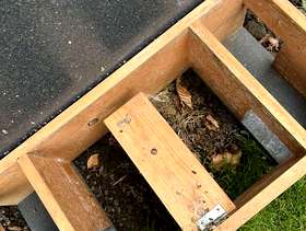 Freecycle Hedgehog feeding station