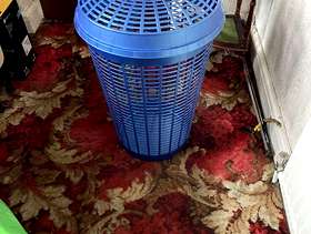 Freecycle Laundry basket
