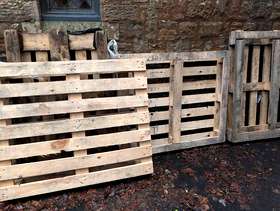 Freecycle Free Pallets / Wood