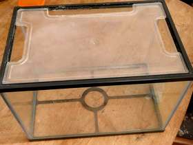 Freecycle Fish Tank and air pump