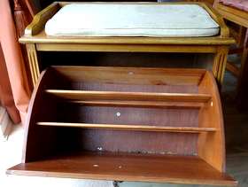 Freecycle Shoe cupboard