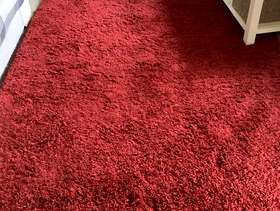 Freecycle Rug.