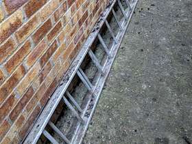 Freecycle Ladder
