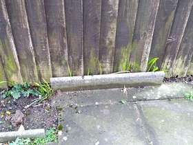 Freecycle Concrete garden edging