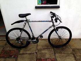 Freecycle Bicycle