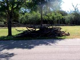 Freecycle Free Fire Wood