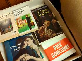 Freecycle 2 boxes of French books