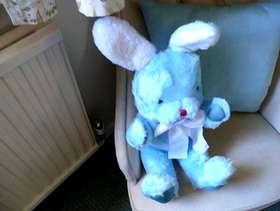 Freecycle Soft Toy Rabbit