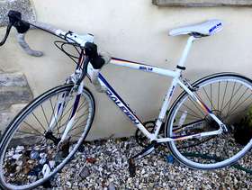 Freecycle Boys raleigh road bike