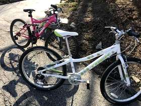 Freecycle 2 girls bikes
