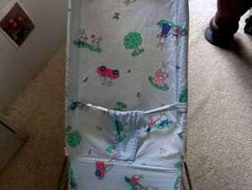 Freecycle Bouncy chair