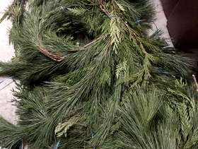 Freecycle Free - 6 pine/fir garland 5 ft pieces