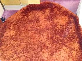 Freecycle Burnt orange floor rug ?mat