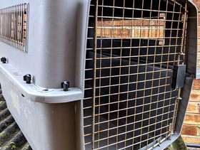 Freecycle Animal travel cage