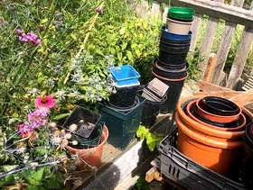Freecycle Plastic plant pots