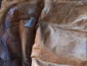 Freecycle Leather seat covers