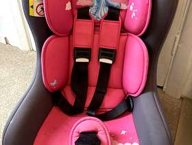 Freecycle Princess car seat