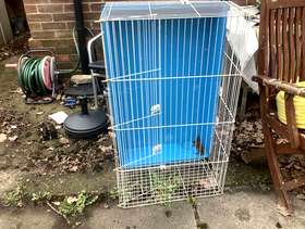 Freecycle Guinea pig cage