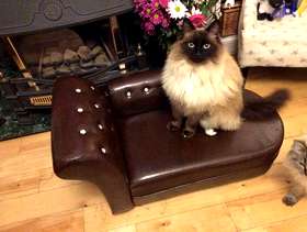 Freecycle Chaise lounge