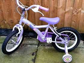 Freecycle Bike