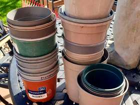 Freecycle Plastic pots