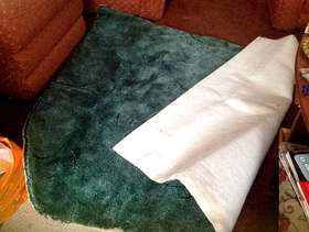 Freecycle Carpet