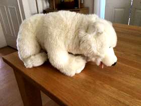 Freecycle Cuddly Polar Bear