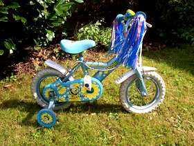 Freecycle Girls' bike