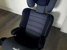 Freecycle Cozy n Safe Car seat.