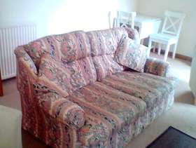 Freecycle Sofa bed