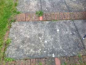 Freecycle Paving Flags