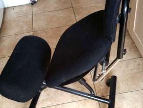 Freecycle Spine seat