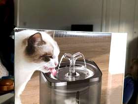 Freecycle Cat water fountain