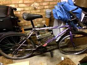Freecycle Free - 21” Boys Bike
