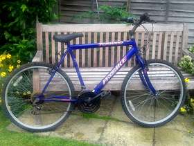 Freecycle Man's mountain bike