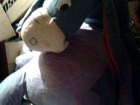 Freecycle Eeyore soft toy