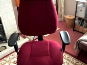 Freecycle Computer chair
