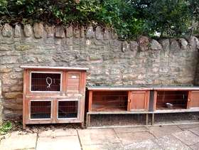 Freecycle Rabbit hutches