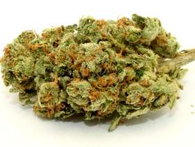 Freecycle Sour Diesel