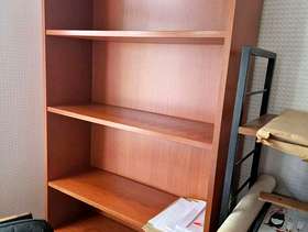 Freecycle Bookshelf