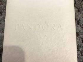Freecycle Pandora Bracelet