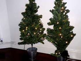 Freecycle Christmas trees