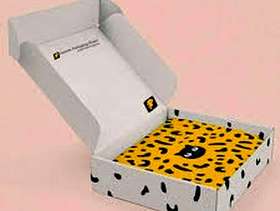 Freecycle LEO Custom Packaging Boxes