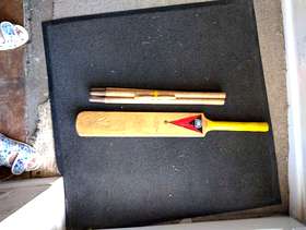 Freecycle Children's cricket set