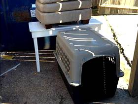 Freecycle 36" Dog Crate