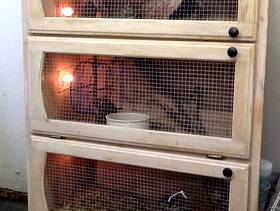 Freecycle Condo Critter Cage