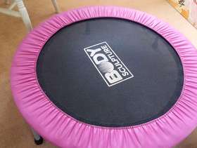 Freecycle Exercise trampoline