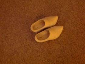 Freecycle Pair of Clogs