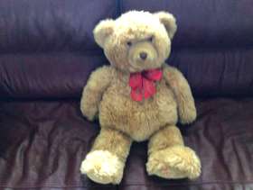 Freecycle Hamleys Teddy Bear